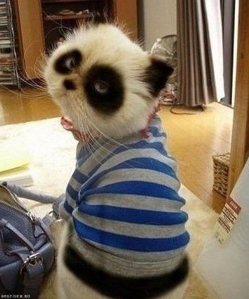 Арина Рябова | 