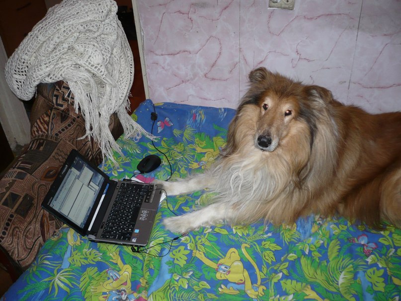 Elena Saburova | Новосибирск