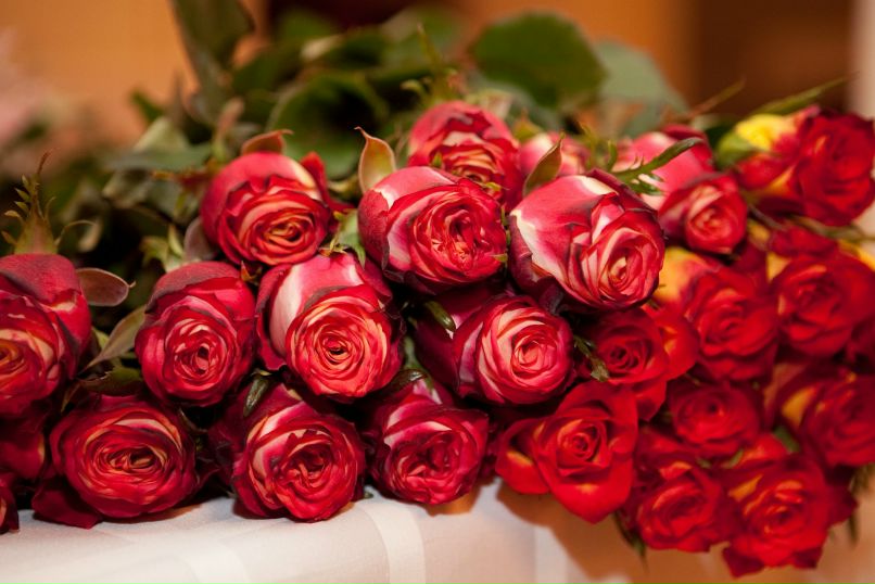 Ксения Пинчук ❤ツ❤K.S.UѼ•° | Санкт-Петербург