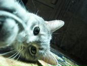 №4 Настя Корчагина 22.10: профиль, фото, статус - ВКонтакте