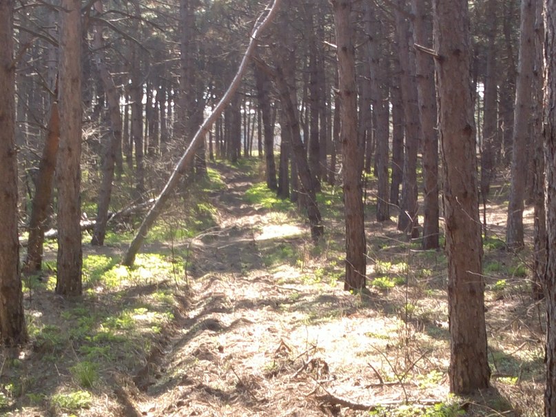 Юрий Градинович | Запорожье