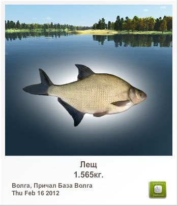 Сергей Артёменко | Благовещенск