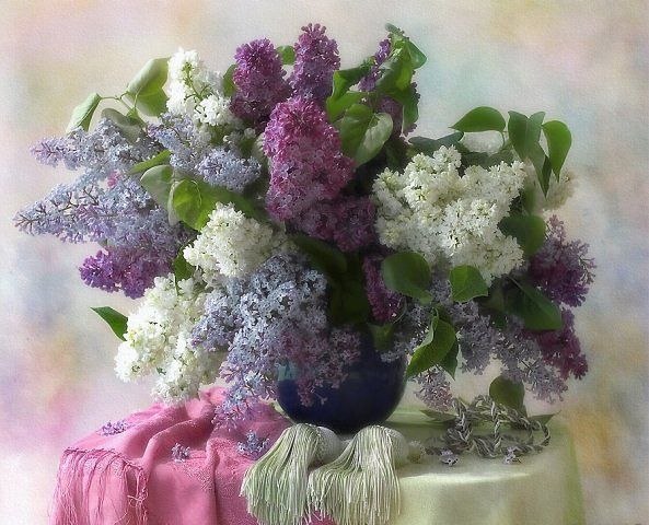 Елена Красюкова | Александров