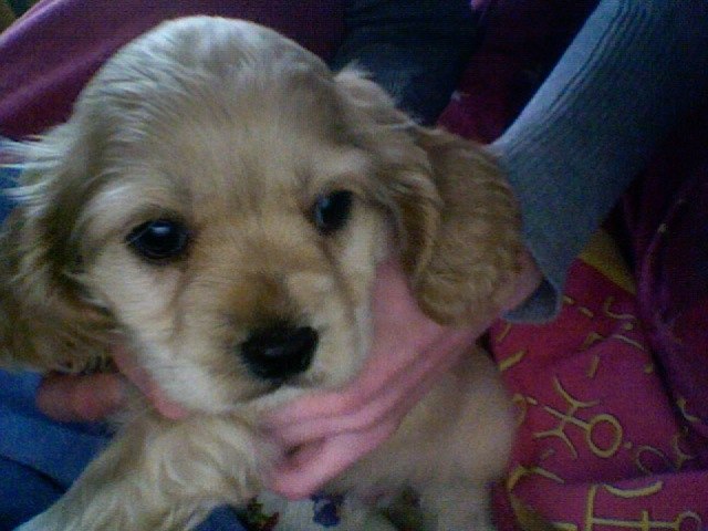 Юлия Сухорукова | Москва