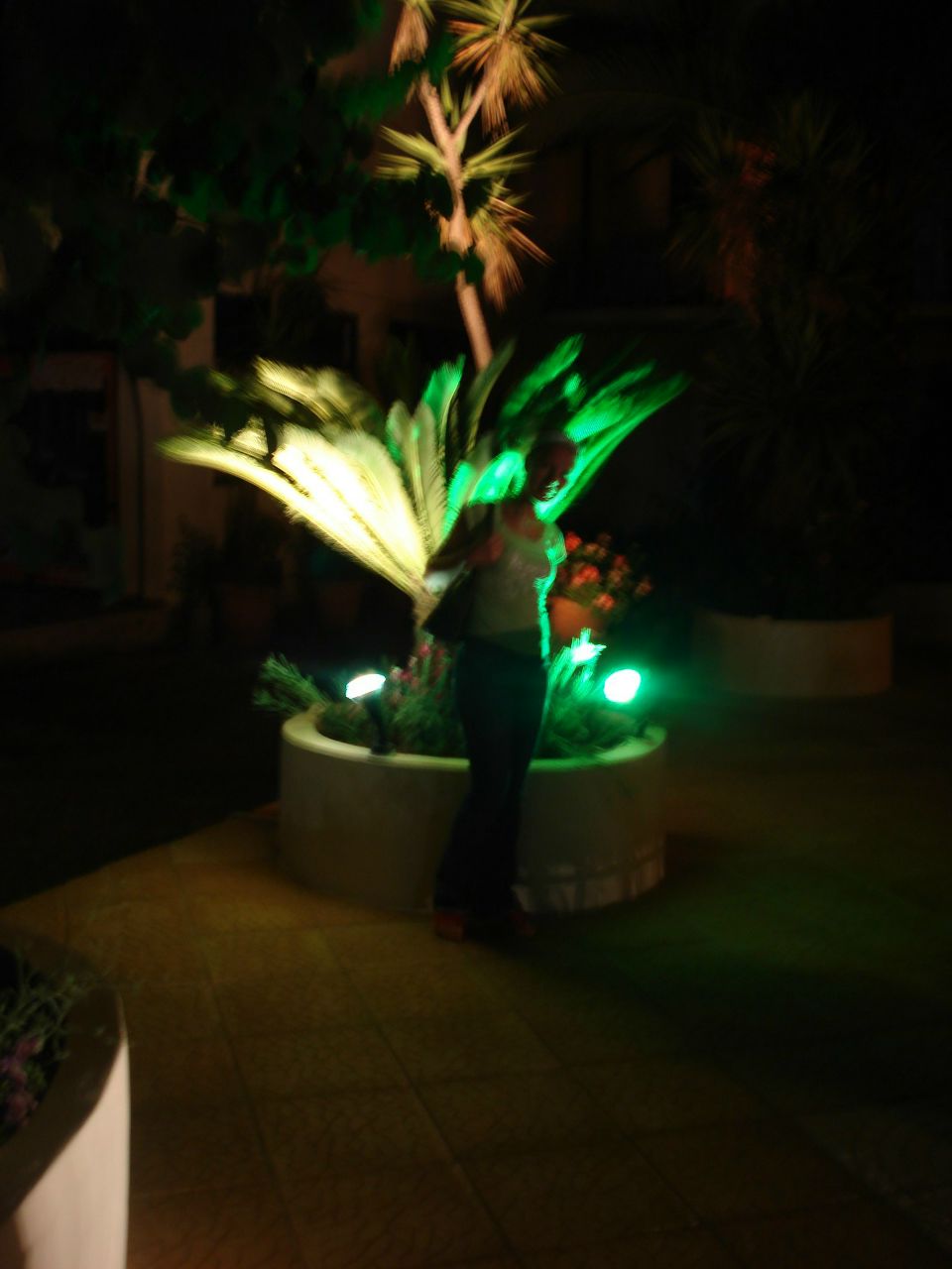 Jelena Ilic | Novi Sad