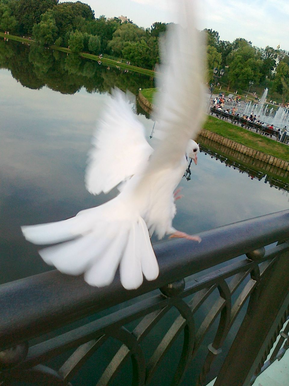 Андрей Головко | Аргун