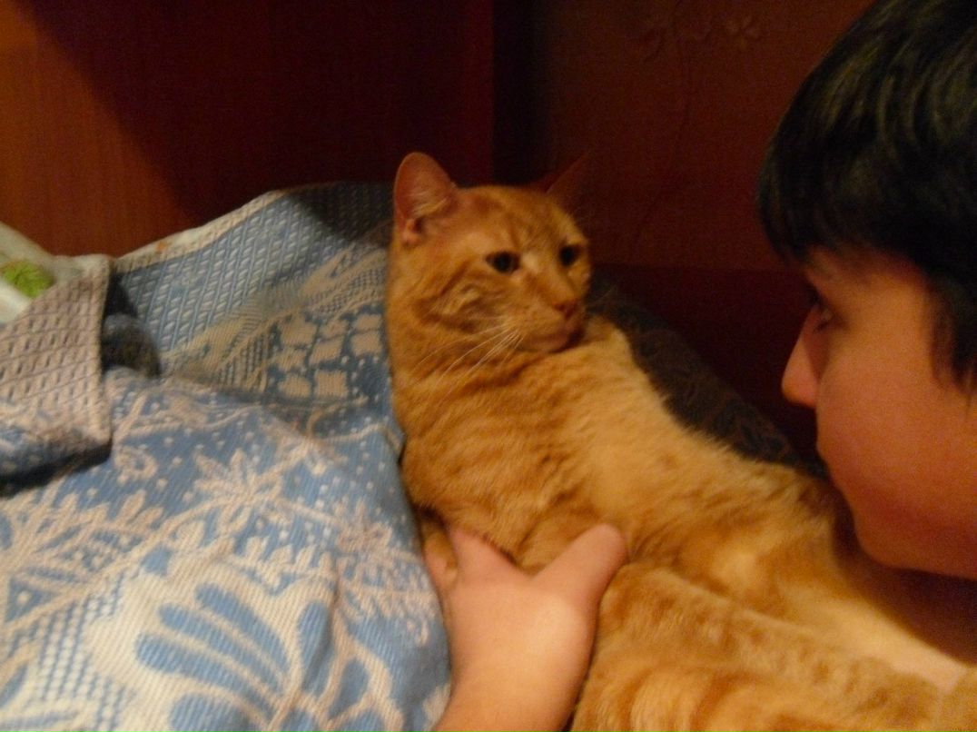 Елена Дяченко | Санкт-Петербург