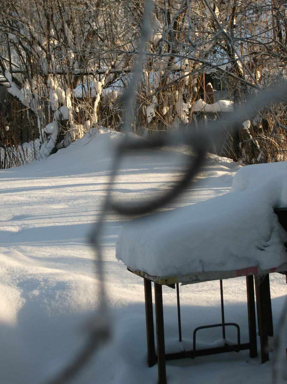 Татьяна Филиппова | Москва