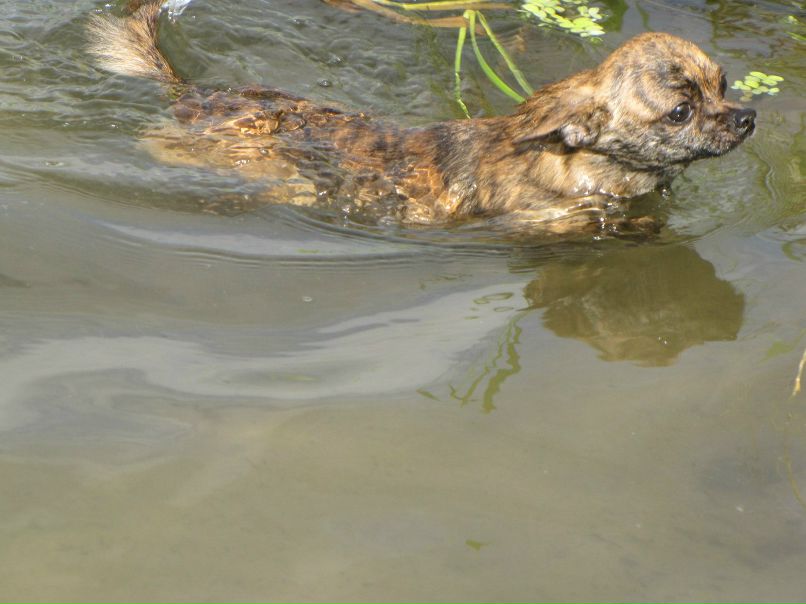Ксения Хлыстова | Москва