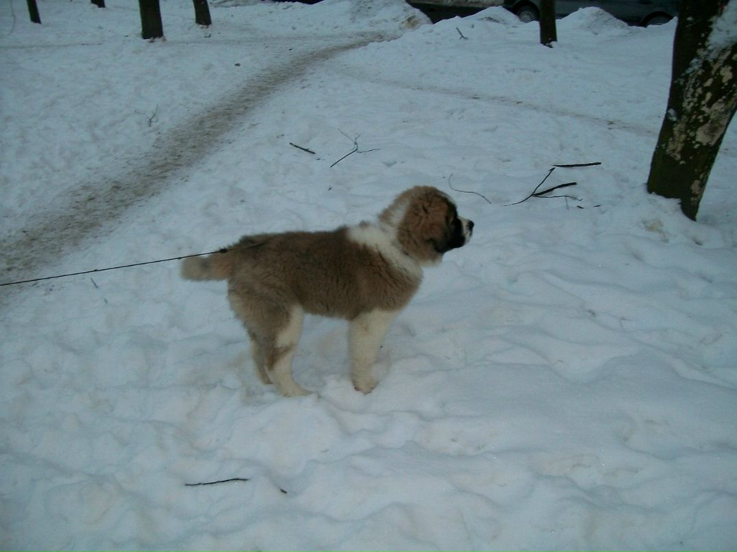 Михаил Нихезин | Санкт-Петербург