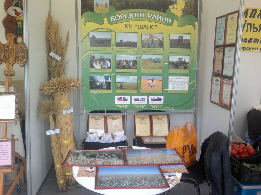 Михаил Шиндряев | Самара