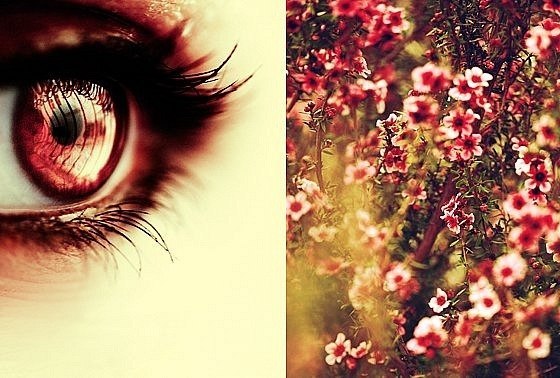 Олеся Литвинова Alessa | Ростов-на-Дону