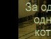 Славок Пепчук | Волжский