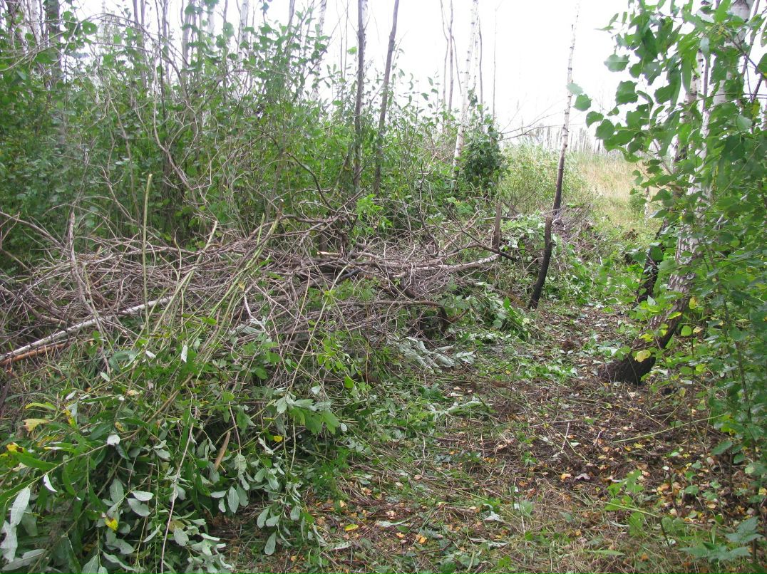 Андрей Василевский | Тюмень