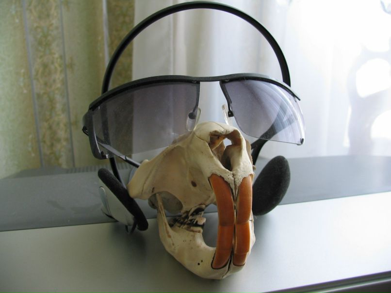 Александр Пыстин | Электрогорск