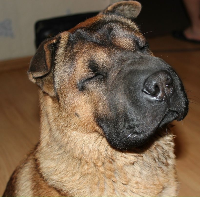 Виктория Трофимова | Москва