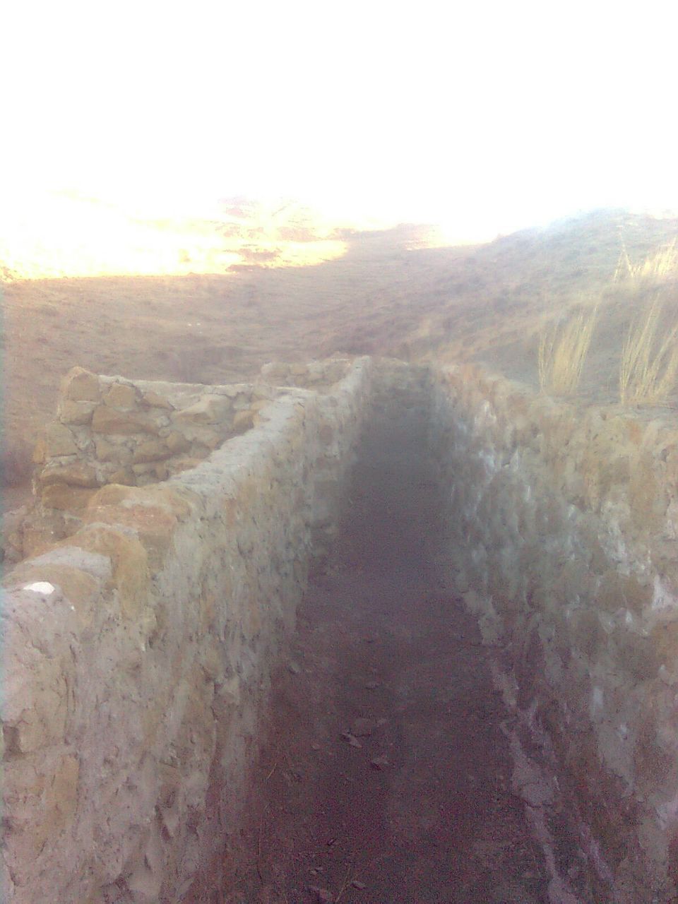 Андрей Немченко | Воронеж