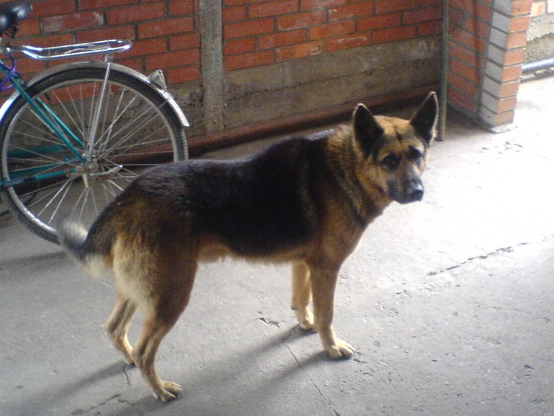 Влад Адамов vlad | Никополь