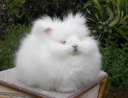 Екатерина Францева СЕРГЕЕВНА | Севастополь