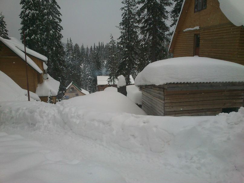 Дима Михайленко | Запорожье