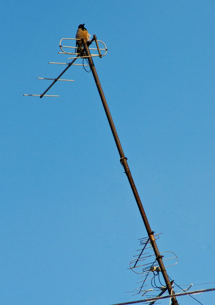 Александр Денисов denfoto | Магнитогорск