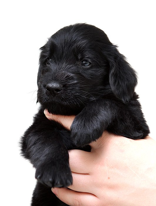 Анна Лебедева | Москва