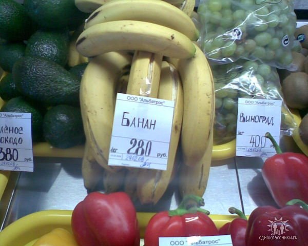 Юрий Пятницын | Новочеркасск