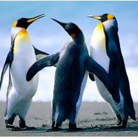 Ивана Иванова | 