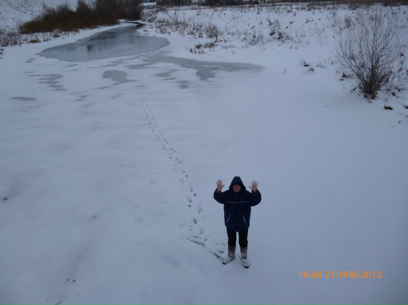 Надежда Демидова | Воронеж
