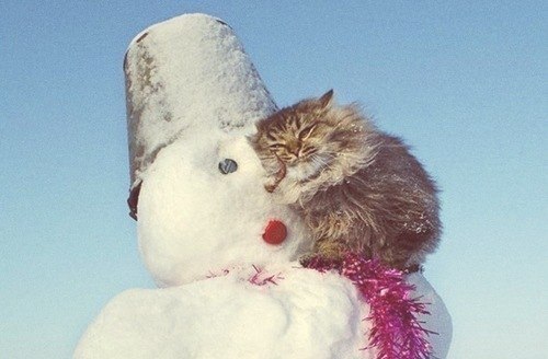 Сонечка Сладкова | Петрозаводск