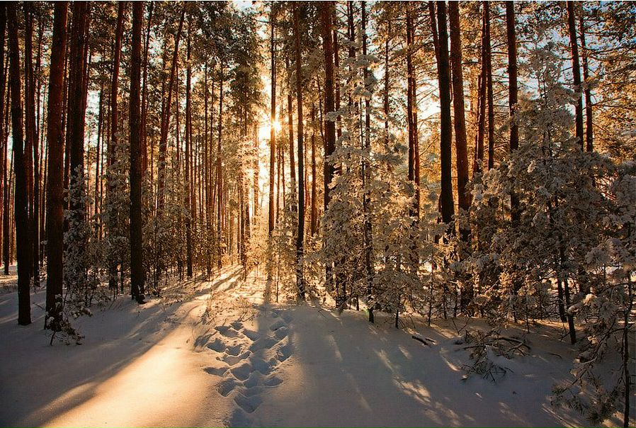 №33, Максим Пилипенко, 34 года, Севастополь №33, Максим Пилипенко, 34 года, Севастополь