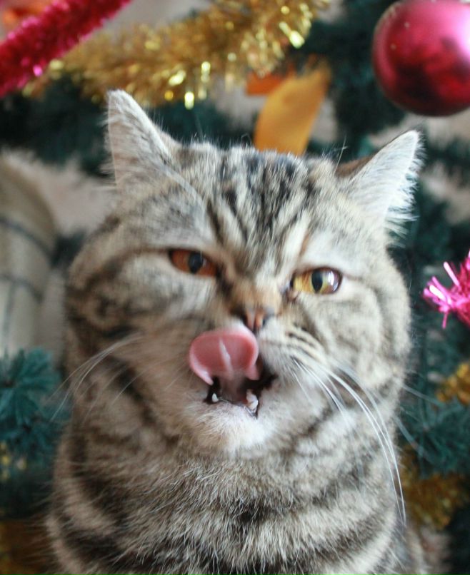 Ирина Нифанина | Архангельск