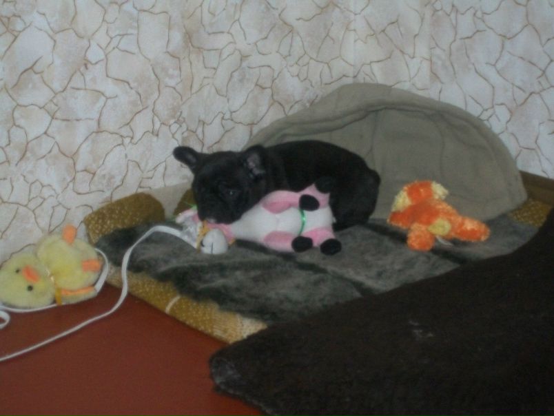 №26, Михаил Прохоров, 46 лет, Харьков №26, Михаил Прохоров, 46 лет, Харьков