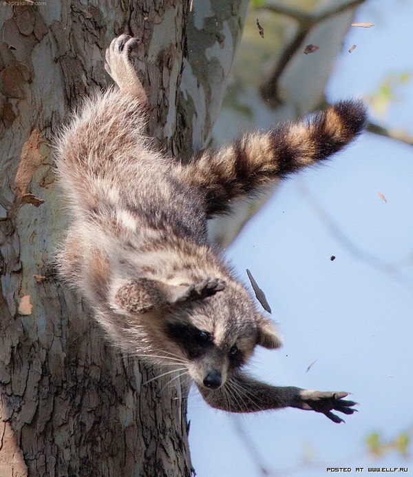 Павел Уржумов | Калининград