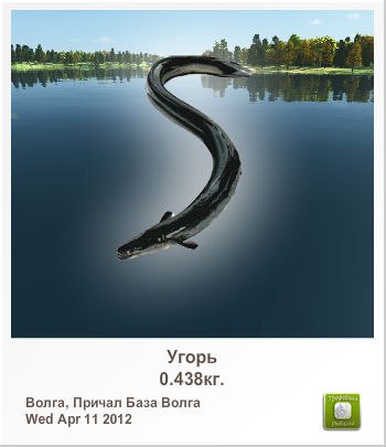 Валера Петрушенко | Киев