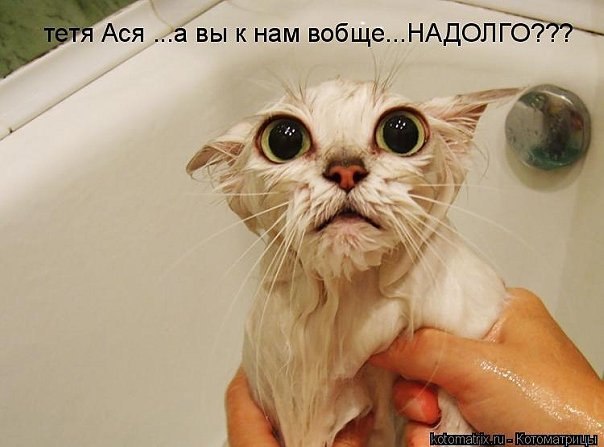 Андрей Марголин | Санкт-Петербург