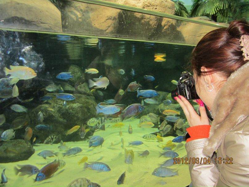 Елена Александрова | 