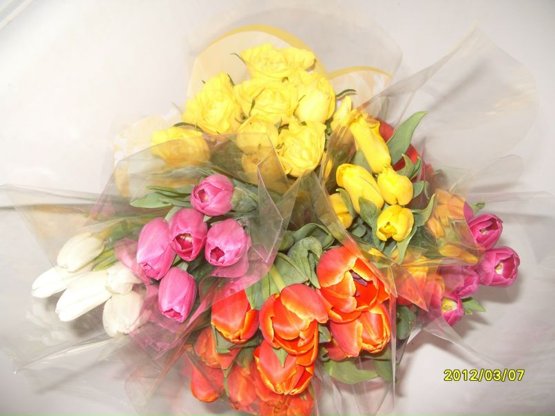 Анна Смолькова | Самара