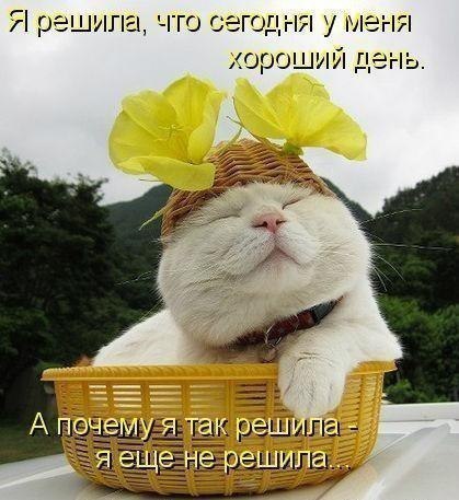Іра Гетьман | 