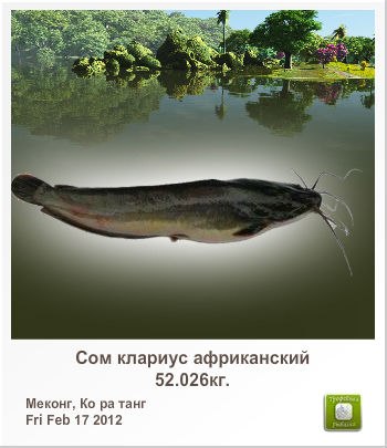 Николай Христенко | Харьков