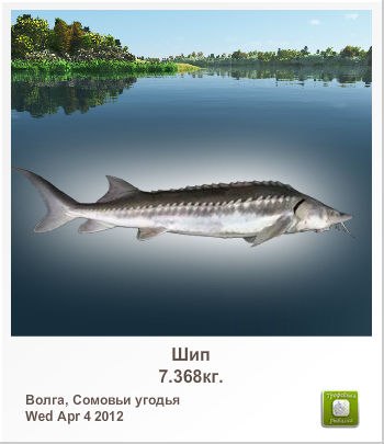 Дима Хижняков | Коломна