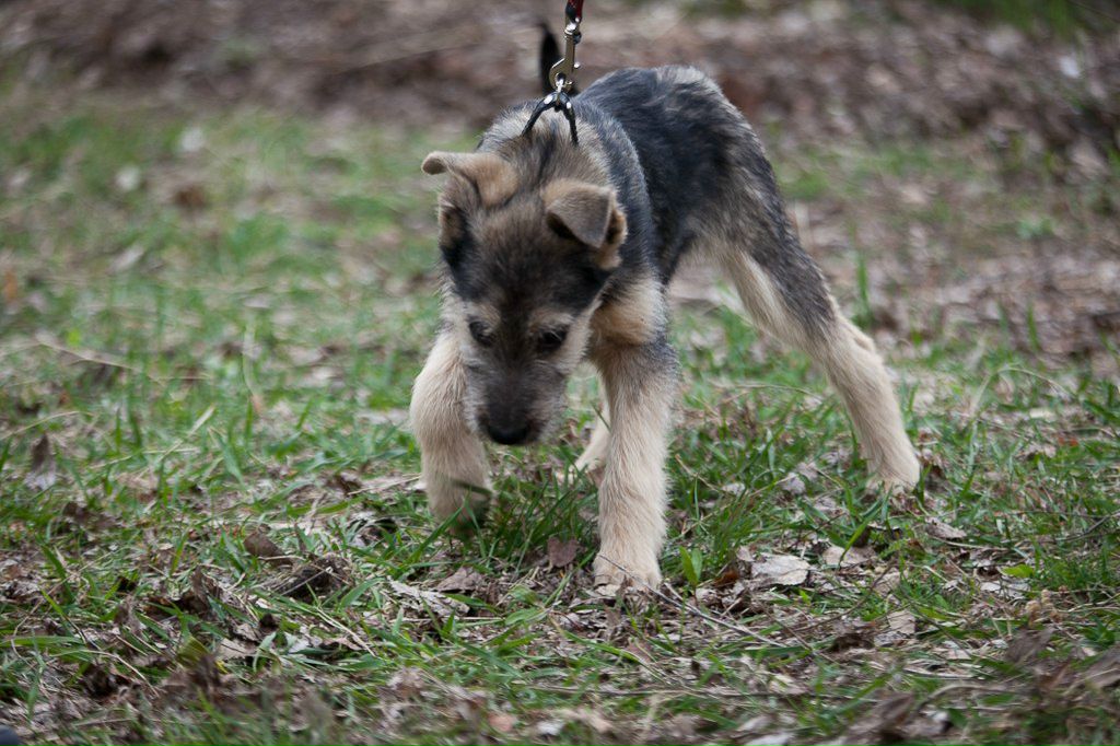 Татьяна Кривенко | Киев