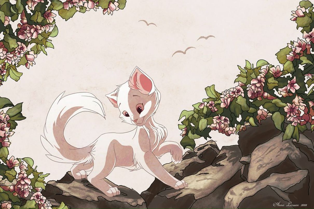 Катя Белая | Нижний Новгород