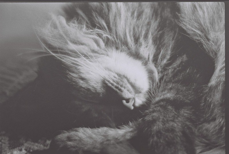 Данил Баракилев | Краснодар