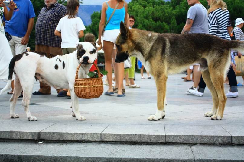 Маша Сторчак | Саратов