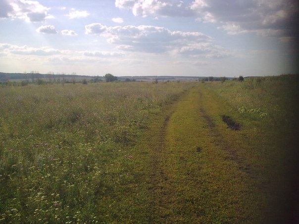 №50, Алексей Черных №50, Алексей Черных