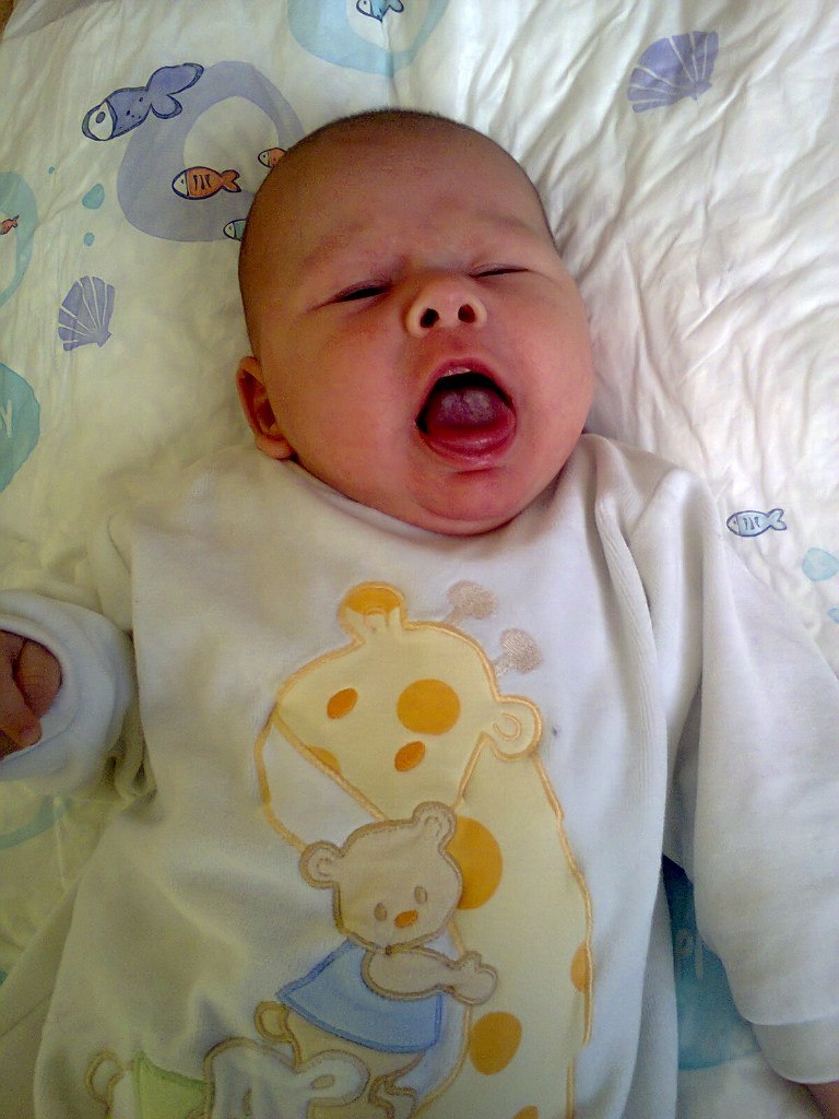 Паша Волков | Калининград