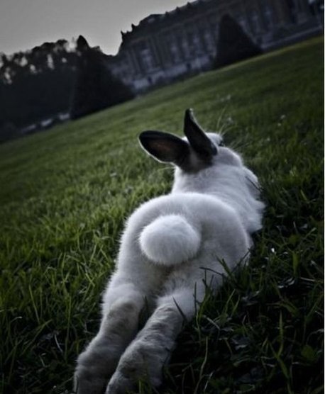 Татьяна Синегина | Мелитополь