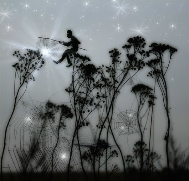 №108, Наталья Полева, Санкт-Петербург №108, Наталья Полева, Санкт-Петербург