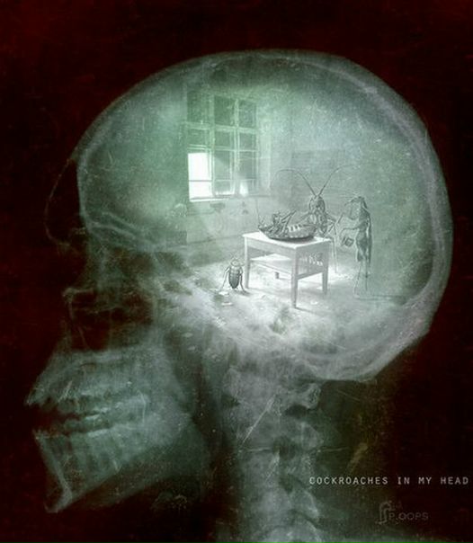 №22, Дмитрий Гринькив, Белореченск №22, Дмитрий Гринькив, Белореченск